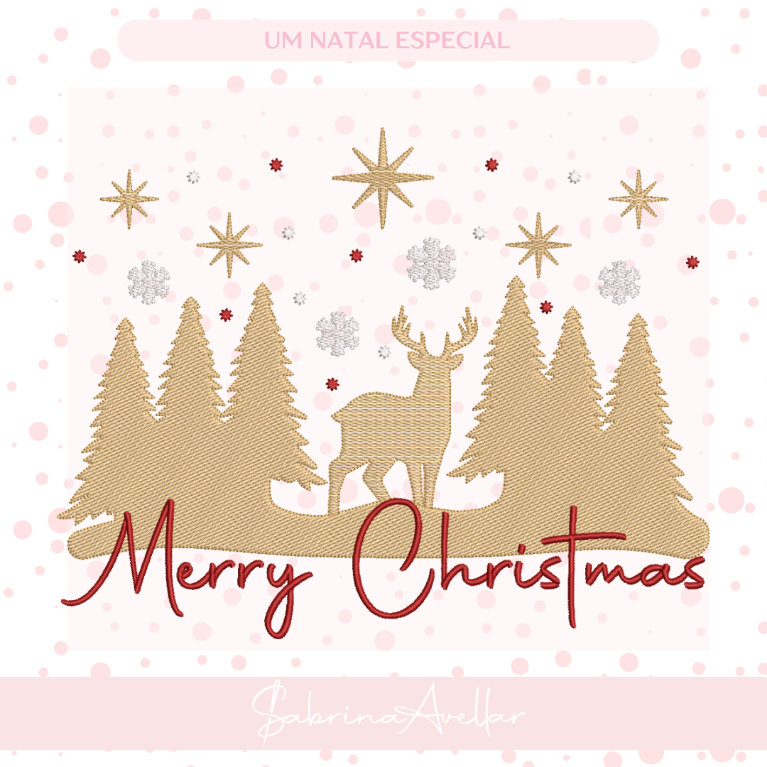 UM NATAL ESPECIAL - Imagem 4