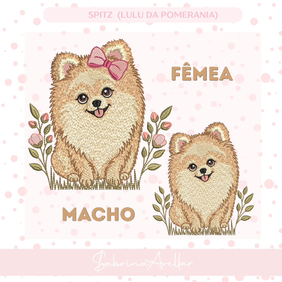 PET SPITZ (LULU DA POMERANIA)